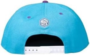 Ultra Game NBA Charlotte Hornets Snap Back 3D Embroidered Team Logo Hat