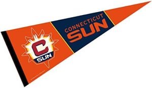 Connecticut Sun Pennant Banner Flag