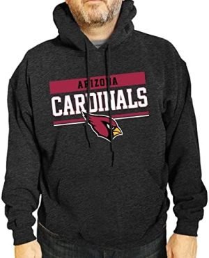 Team Fan Apparel NFL Arizona Cardinals Gameday Hooded Sweatshirt