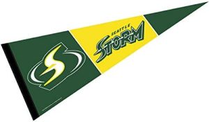 Seattle Storm Pennant Banner Flag