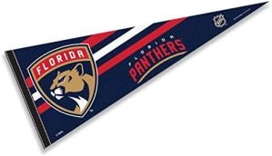 WinCraft Florida Panthers Pennant