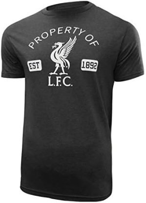 Icon Sports Men’s Soccer T-Shirt – Official Adult Cotton Short Sleeve World Football Club Casual Active Graphic Top Tee