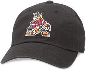 AMERICAN NEEDLE Blue Line Collection NHL National Hockey League Team Baseball Hat Adjustable Buckle Strap Dad Cap