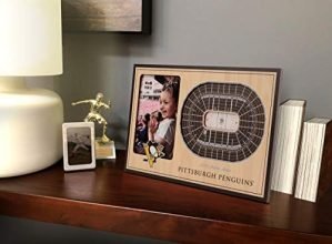 YouTheFan NHL Pittsburgh Penguins 3D Stadium View Picture Frame