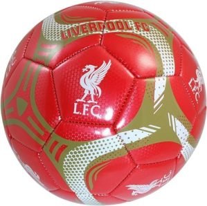 Icon Sports Team Soccer Ball