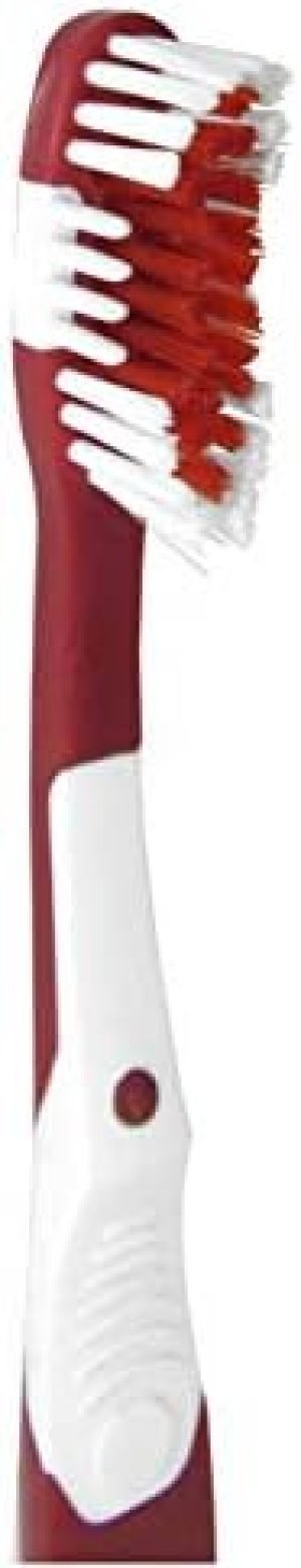 NFL Siskiyou Sports Fan Shop MVP Toothbrush – All Teams