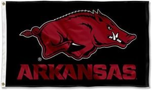 College Flags & Banners Co. Arkansas Razorbacks Black Flag