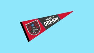 WinCraft Atlanta Dream Pennant Banner Flag Review