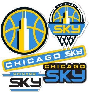 Desert Cactus Chicago Sky WNBA Women's National Basketball Association Officially Licensed Sticker Vinyl Decal Laptop Water Bottle Car Scrapbook (Type 2)