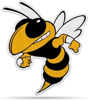 Rico Industries NCAA Shape Cut Pennant Shape Cut Pennant - Home and Living Room Décor - Soft Felt EZ to Hang