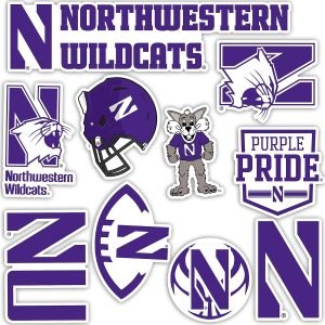 Desert Cactus Northwestern University Wildcats Stickers Vinyl Decals Laptop Water Bottle Car Scrapbook T2 (Type 2)