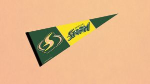 WNBA Seattle Storm Pennant Banner Flag Review