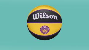 WILSON WNBA Los Angeles Sparks Basketballs Review