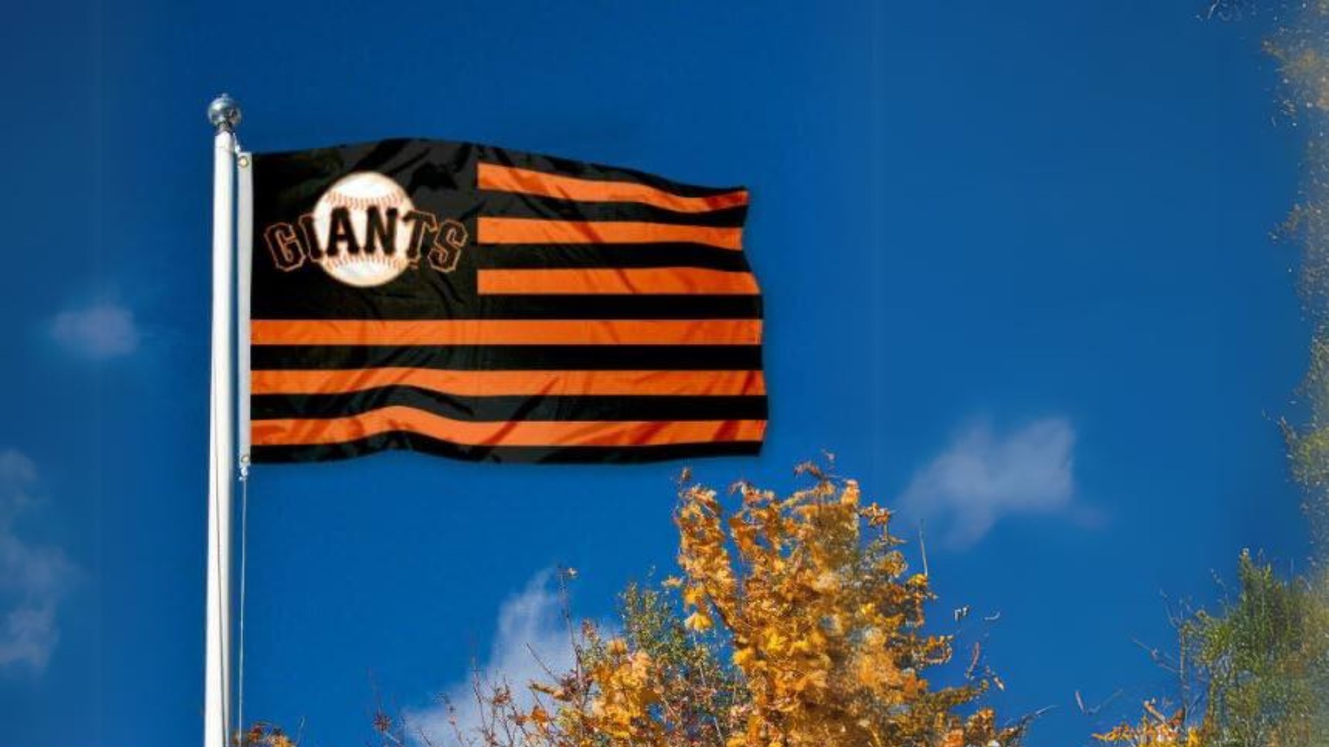 WinCraft MLB San Francisco Giants Nation Flag Banner Review