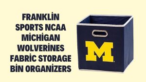 Franklin Sports NCAA Michigan Wolverines Fabric Storage Bin Organizers