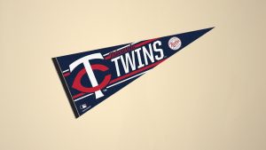 WinCraft MLB Minnesota Twins Large Pennant Review