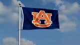 Auburn Tigers AU University Large College Flag Review