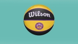 WILSON WNBA Los Angeles Sparks Basketballs Review